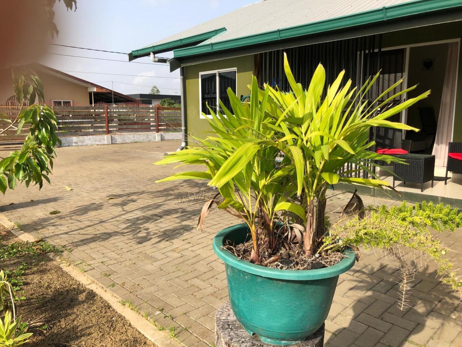 Grapefruitstraat Apartment Paramaribo Bagian luar foto