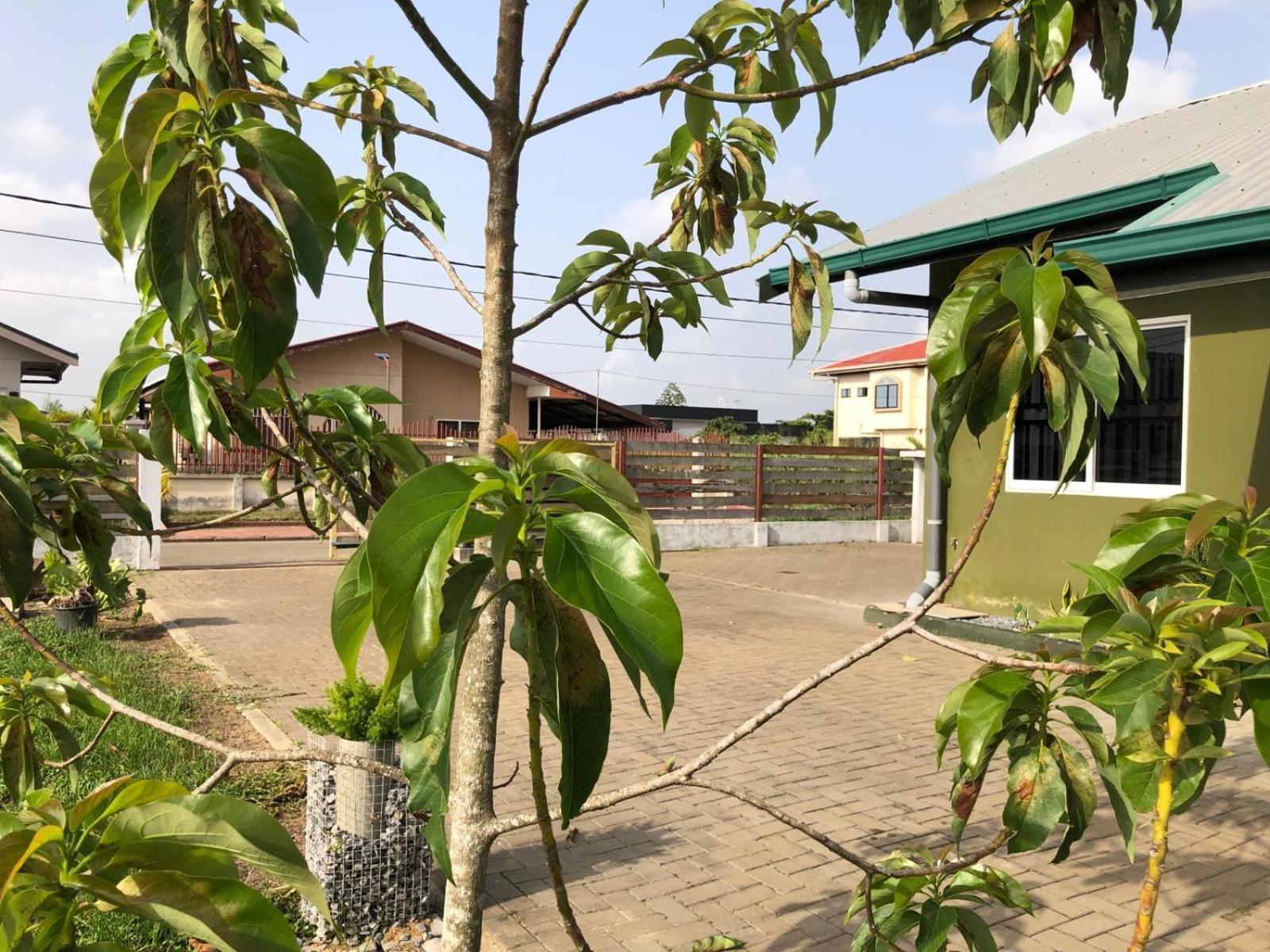 Grapefruitstraat Apartment Paramaribo Bagian luar foto